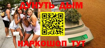 гидра Ставрополь