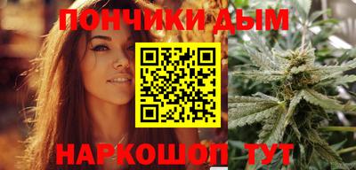 гидра Ставрополь