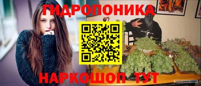 гидра Ставрополь