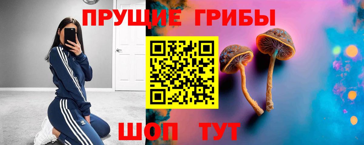 Михайловка  Псилоцибиновые грибы Magic Shrooms  Вход с VPN 